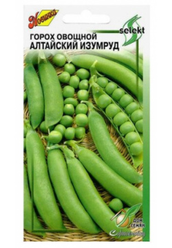 Семена Горох Алтайский Изумруд 70шт для дачи  сада огорода теплицы / рассады в домашних условиях Noname