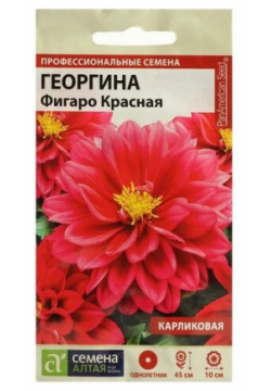 Семена цветов Георгина "Фигаро"  красная махровая Сем Алт ц/п 5 шт Алтая