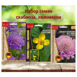 Семена многолетних цветов для дома и сада Скабиоза Хиломекон 3 уп  Нет бренда