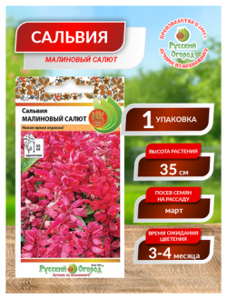 Семена  Цветы Сальвия F1 "Малиновый салют" (10 штук) Русский Огород