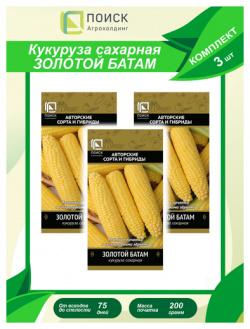Комплект семян Кукуруза сахарная Золотой Батам х 3 шт  ПОИСК