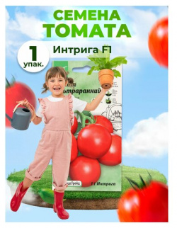 Томат Интрига F1 10 шт АСТ / семена томатов для посадки помидор балкона дома теплицы сада АгроСидсТрейд 