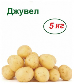 Картофель семенной Джувел  5 кг ранний урожайный сорт долго хранится обладает отличными вкусовыми качествами не требует особых условий выращивания Лето