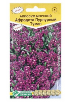 Семена Цветов Алиссум морской Афродита Пурпурный туман  0 02 г Евросемена