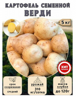 Клубни картофеля на посадку Верди (суперэлита) 5 кг Средний Калатея 