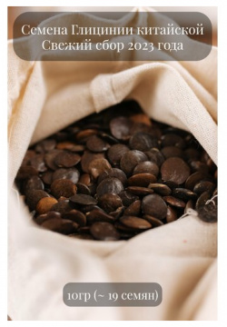 Семена лианы Глицинии китайской  подходит для бонсай 10 грамм (примерно 19 шт) Желуди