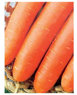Коллекционные семена моркови Нарбонне F1 СуперГрядка 