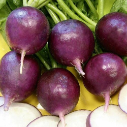 Коллекционные семена редиса Виолетта СуперГрядка Раннеспелый сорт с необычной