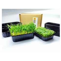 Лотки / Контейнеры для выращивания микрозелени или рассады разные по высоте 55 мм и 35 в наборе 30 шт Россия