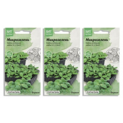 Набор семян Микрозелень Бораго для проращивания АСТ  3 уп АгроСидсТрейд