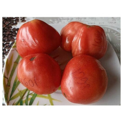 Коллекционные семена томата Бычий мёд 1106 гр СуперГрядка 