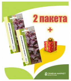 Семена Маркет Базилик Рози F1 2 пакета по 1 гр  / Среднеспелый сорт Растение компактное с сильным ароматом