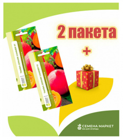 Семена Маркет Тыква Оранж Саммер F1 2 пакета по 3 шт /Раннеспелый со сладкой  средней сочности мякотью