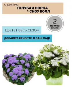 Цветы Агератум Голубая норка и Сноу Болл 2 пакета по 0 1г семян Русский Огород 