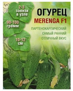 Огурец Меренга F1 (1 пакет по 8 семян) Seminis 