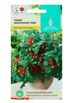 Семена Томат "Балконное чудо" ультраскороспелый  низкорослый 15 шт Евро