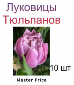 Луковицы Тюльпана Master Price ( 10 шт) POROLOV Цветочная История 
