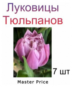 Луковицы Тюльпана Master Price ( 7 шт) POROLOV Цветочная История