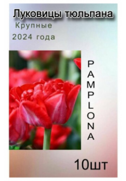 Луковицы Тюльпана Pamplona (10шт) POROLOV Цветочная История 