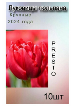 Луковицы Тюльпана Presto ( 10 шт) POROLOV Цветочная История 