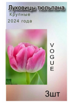 Луковицы Тюльпана Vogue ( 3 шт) POROLOV Цветочная История 
