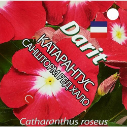 Семена цветов Дарит катарантус Саншторм Ред Хало 8 шт  Нет бренда