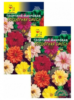 Георгина махровая Бордюрная смесь (0 2 г)  пакета Цветущий сад
