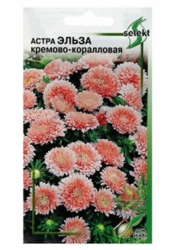 Семена цветов Астра "Эльза"  кремово коралловая 35 шт ( 1 упаковка ) Нет бренда