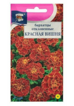 Семена цветов Бархатцы отклоненные "Красная вишня"  0 3 г ( 1 упаковка ) Нет бренда
