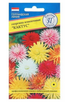 Семена цветов Георгина изменчивая "Кактус"  20 шт ( 1 упаковка ) Нет бренда