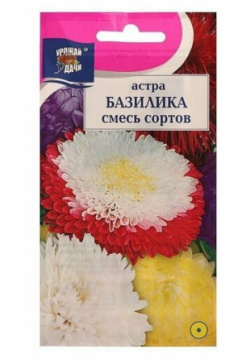 Семена цветов Астра Смесь базилика 0 3 гр ( 1 упаковка ) Нет бренда