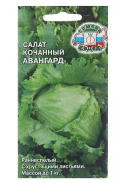 Семена Салат "Авангард"  0 5 г ( 1 упаковка ) Нет бренда