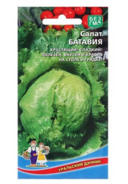Семена Салат "Батавия"  0 25 г ( 1 упаковка ) Нет бренда