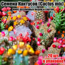 Семена кактусов (Cactus mix) 20шт AGRO Belini 