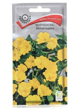 Семена цветов Мирабилис "Желтый леденец"  1гр ПОИСК