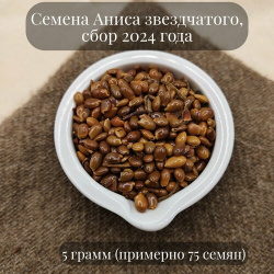 Семена Аниса звездчатого  или Бадьяна настоящего для посадки 5 грамм (примерно 75 шт) Желуди