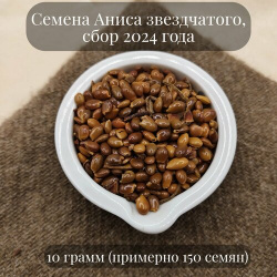 Семена Аниса звездчатого  или Бадьяна настоящего для посадки 10 грамм (примерно 150 шт) Желуди