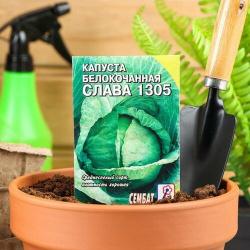 Семена Капуста белокочанная "Слава 1305"  0 5 г MikiMarket