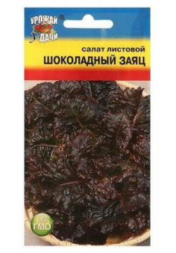 Семена Салат шоколадный заяц  0 5 гр 10 упаковок Нет бренда
