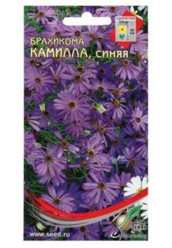 Семена цветов  Брахикома Камилла синяя 150 шт 5 уп china