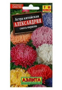 Семена Цветов  Астра Александрия смесь окрасок О 0 2 г 3 уп china Прекрасный