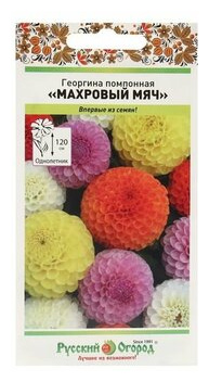 Семена цветов Георгина "Махровый мяч"  помпонная смесь Барсоня