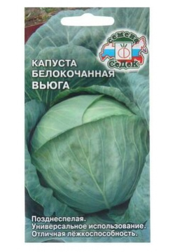 Семена Капуста белокочаннаяВьюга  0 5 г BigMarket