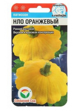 Семена Патиссон НЛО оранжевый  1 г BigMarket