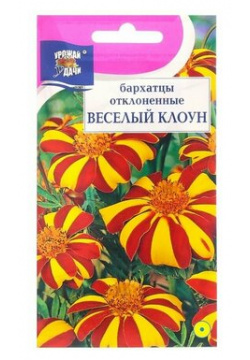 Семена цветов Бархатцы отклоненные "Весёлый клоун"  0 3 г Барсоня