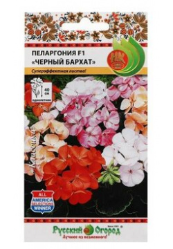 Семена цветов Пеларгония "Черный бархат"  смесь 5 шт Барсоня