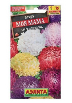 Семена цветов Астра "Моя мама"  смесь окрасок О 0 2 г Барсоня