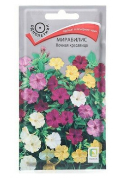 Семена цветов Мирабилис "Ночная красавица"  2 5гр (4 шт ) ПОИСК