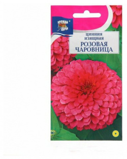 Семена цветов Цинния изящная Розовая чаровница  0 3 г шт Нет бренда