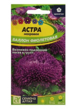 Семена цветов Астра "Баллон"  фиолетовая Сем Алт ц/п 0 05 г Алтая